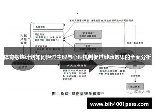体育锻炼计划如何通过生理与心理机制促进健康效果的全面分析