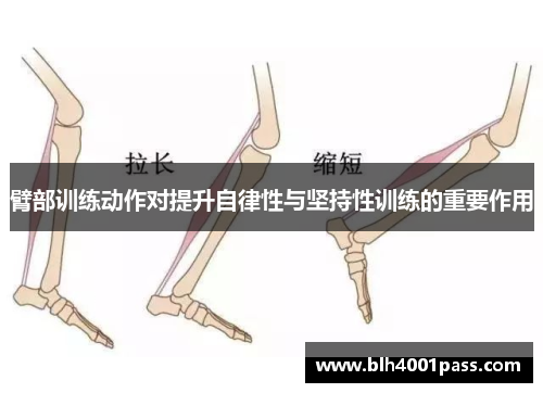 臂部训练动作对提升自律性与坚持性训练的重要作用