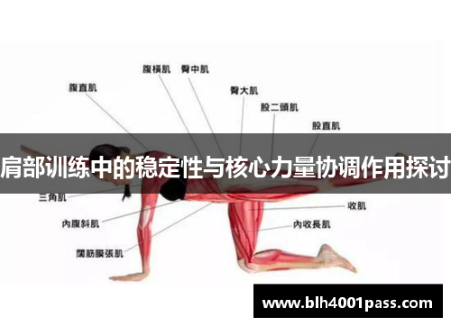 肩部训练中的稳定性与核心力量协调作用探讨